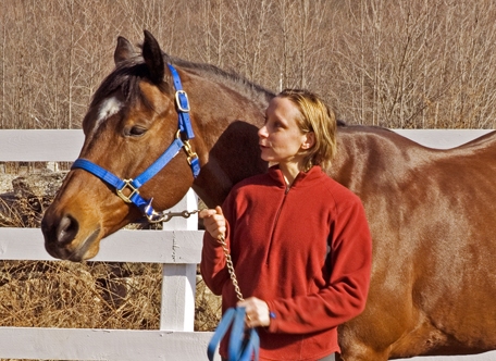 Horse/Rider Portrait