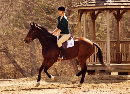Horse and Rider Turning