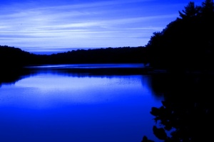 Blue Twilight
